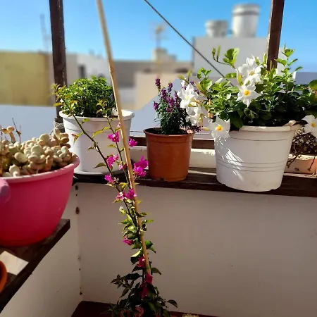 Apartamento Casa Flores